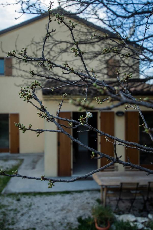 Agriturismo Conero Ancona Bagian luar foto