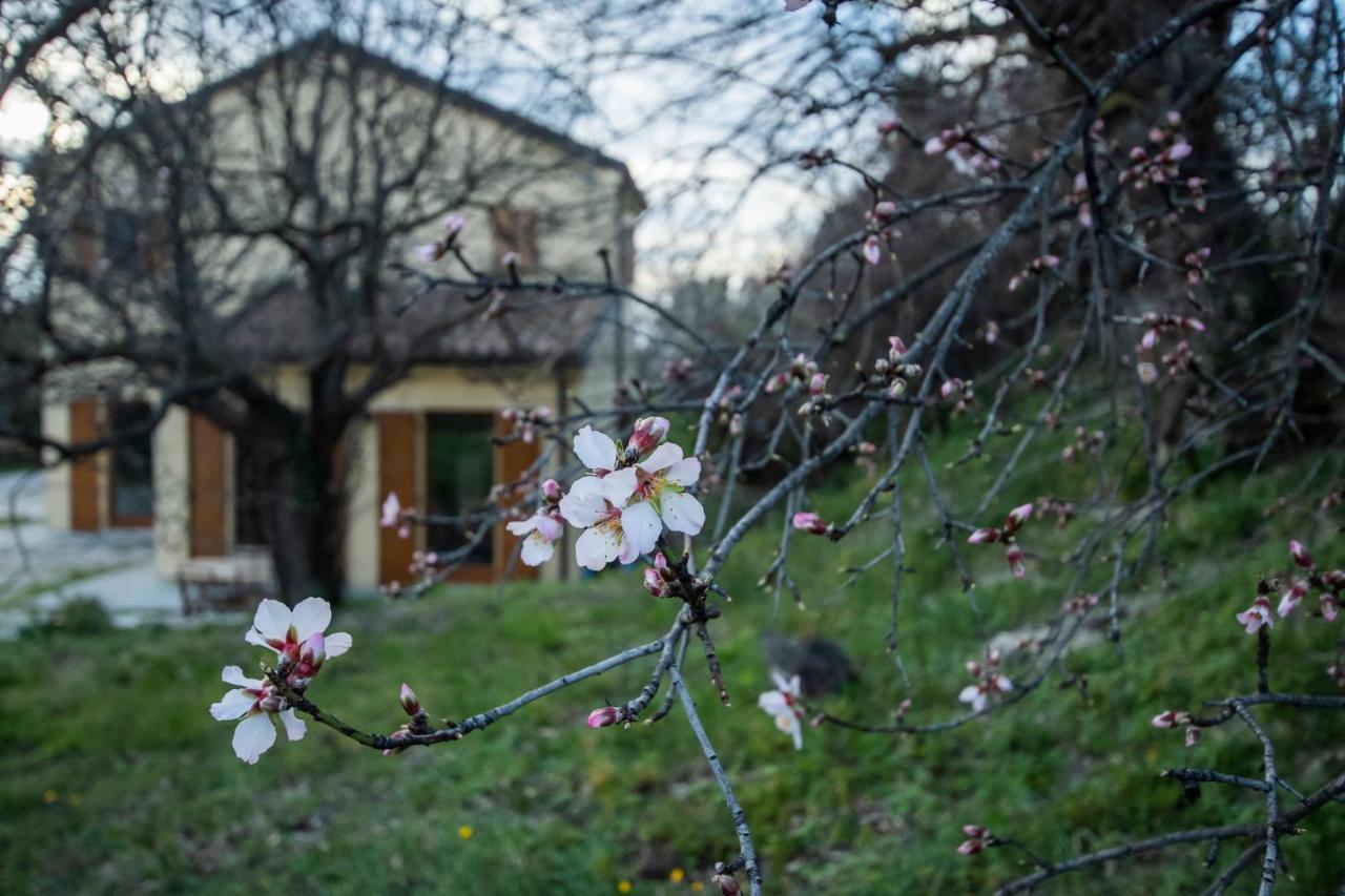 Agriturismo Conero Ancona Bagian luar foto