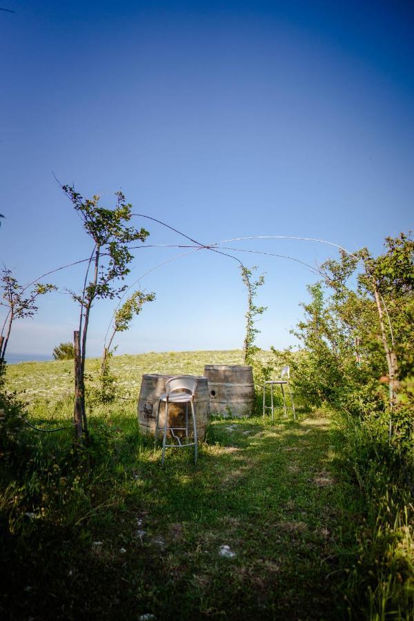 Agriturismo Conero Ancona Bagian luar foto